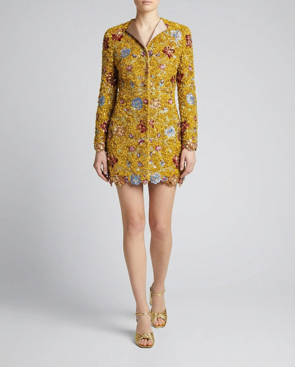 Embroidered sequin mini dress