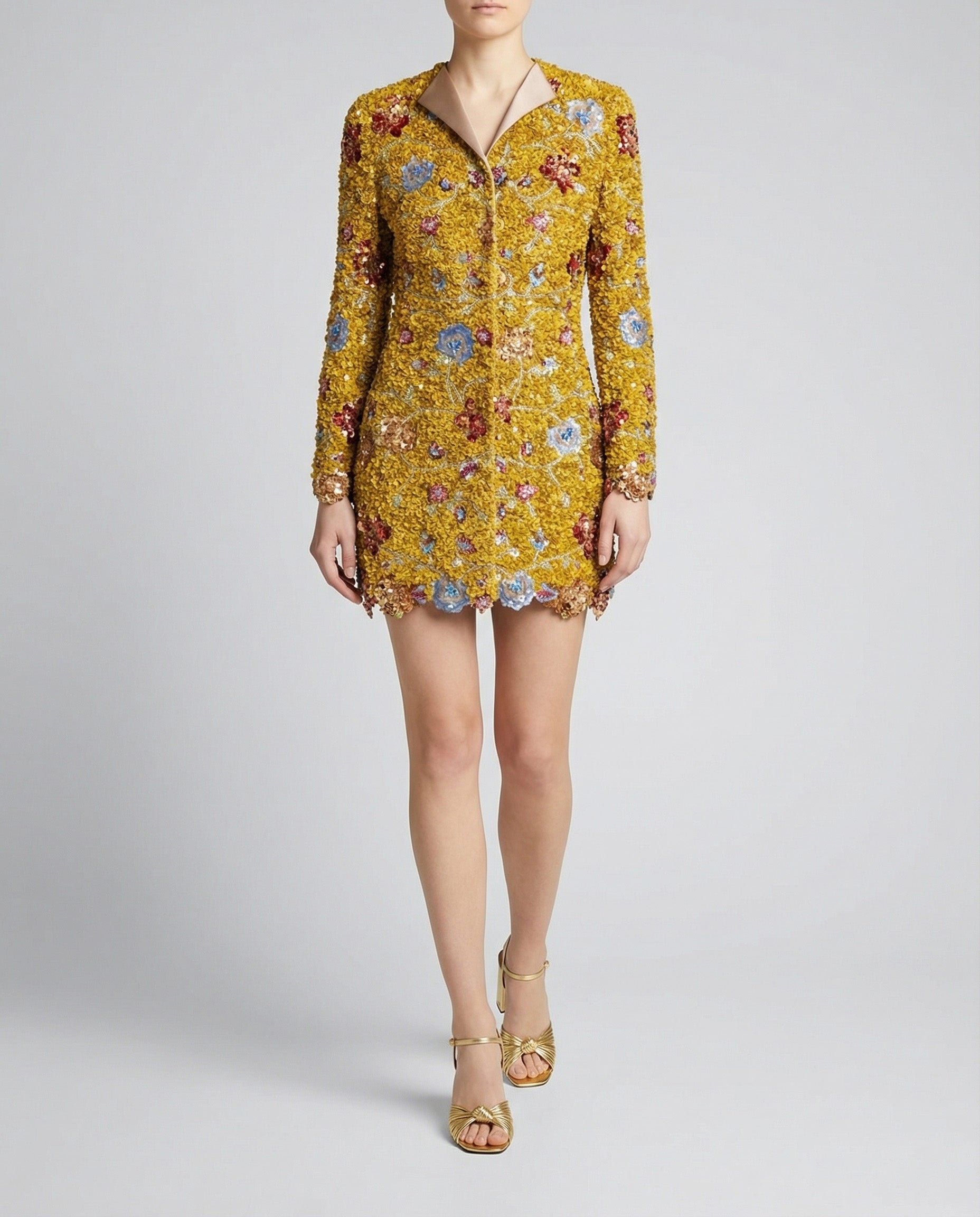 Embroidered sequin mini dress