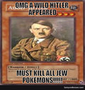 Pokemon fandom be like