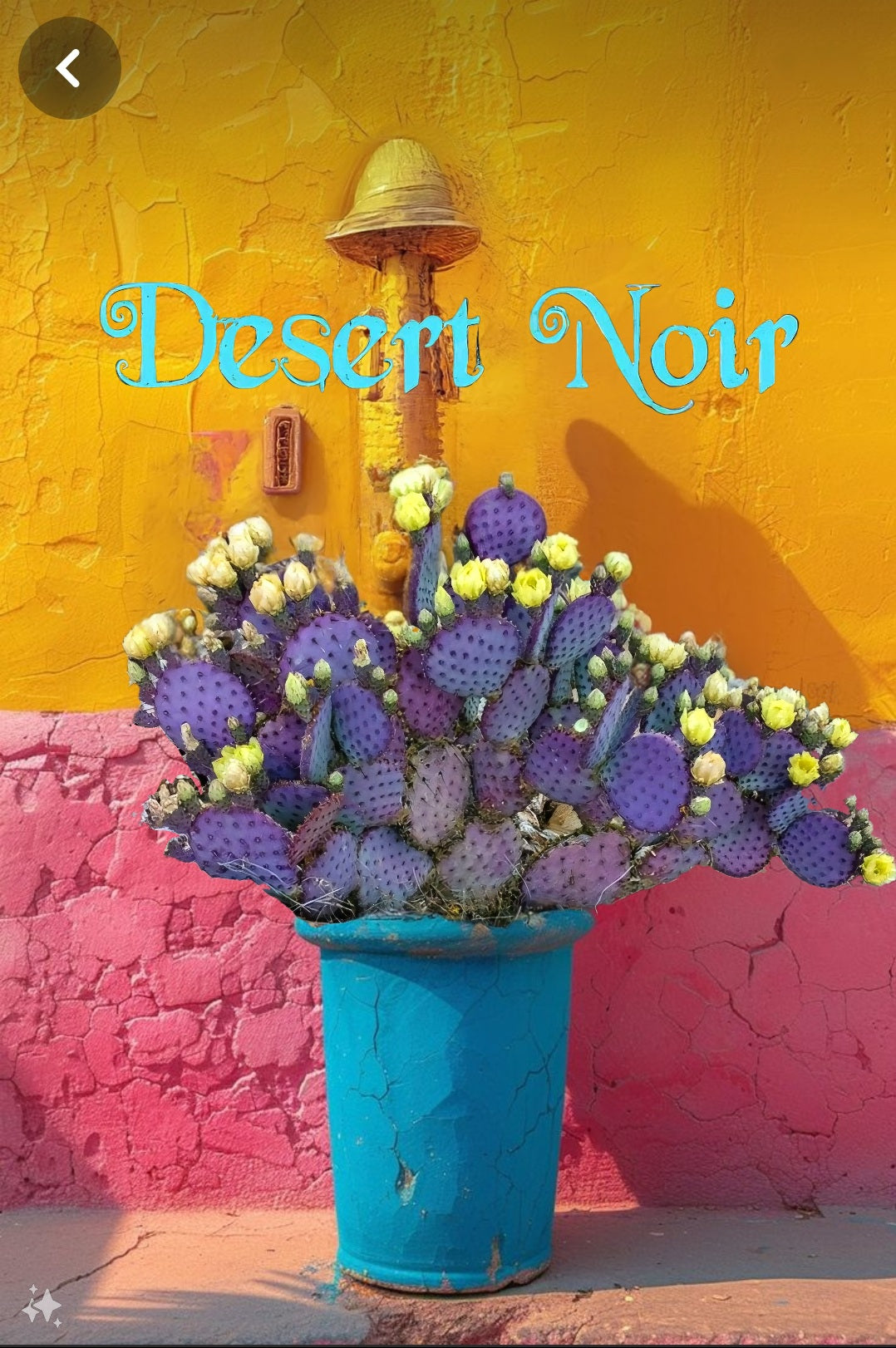 Santa Rita Purple Prickly Pear (Opuntia violacea), Prickly Pear, live plant, cactus, succulent