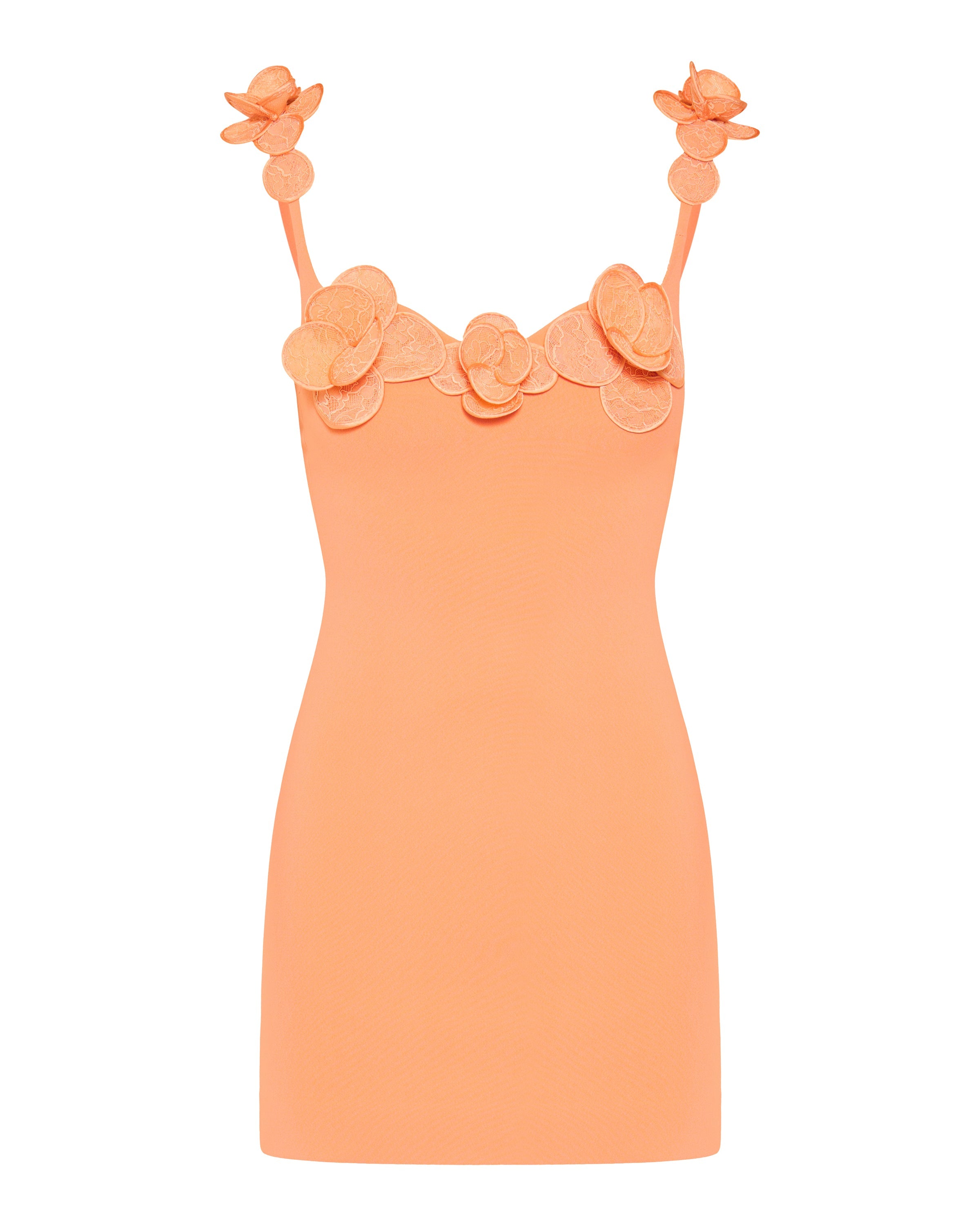 David Koma 3D Lace flower mini dress