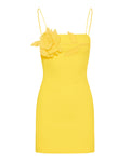 David Koma Floral appliqué mini dress