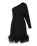 One‑shoulder silk mini dress with feathers