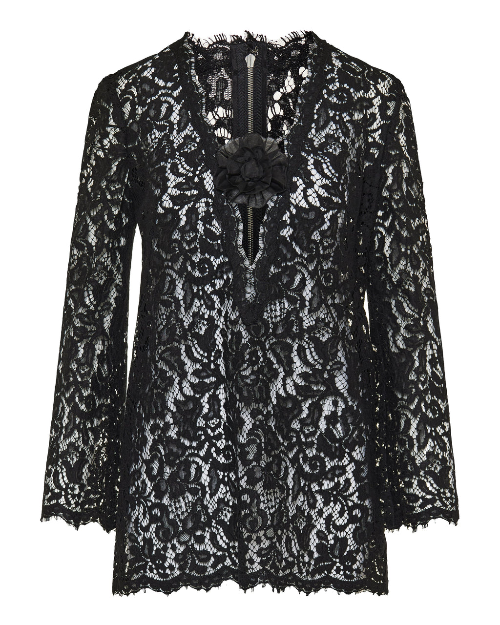 Cordonetto lace mini dress
