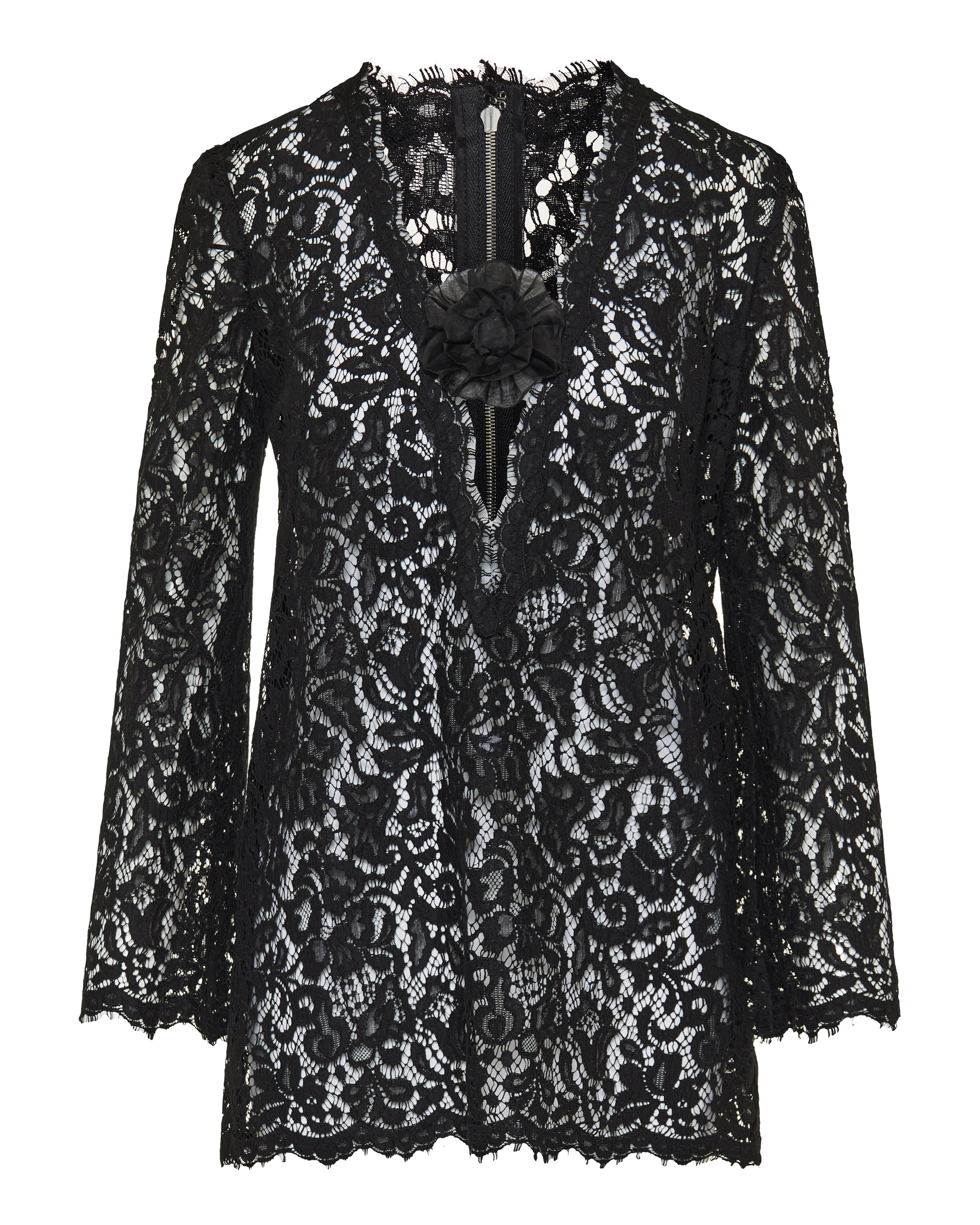 Cordonetto lace mini dress