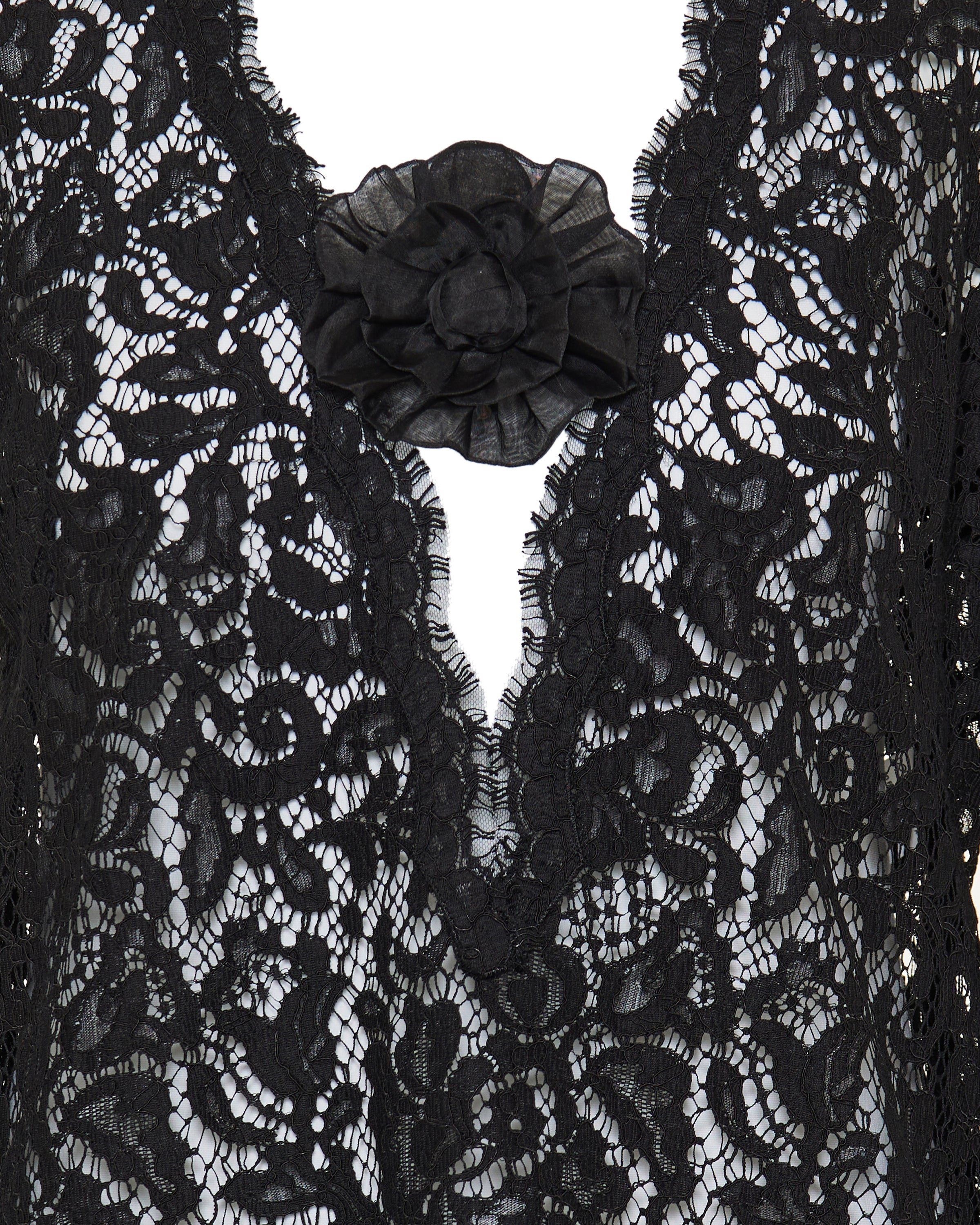 Cordonetto lace mini dress