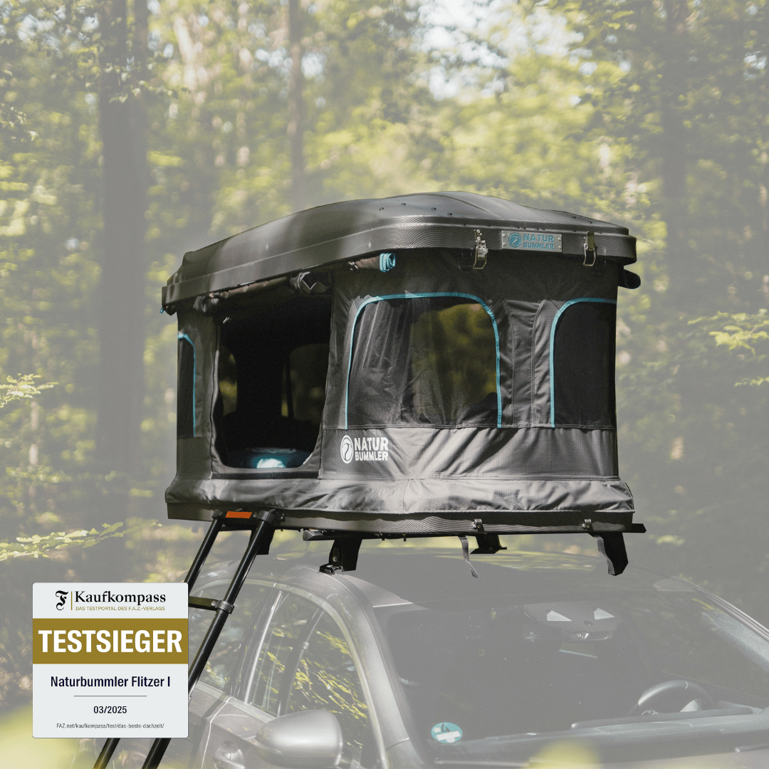 FLITZER 1 XS (2025)
