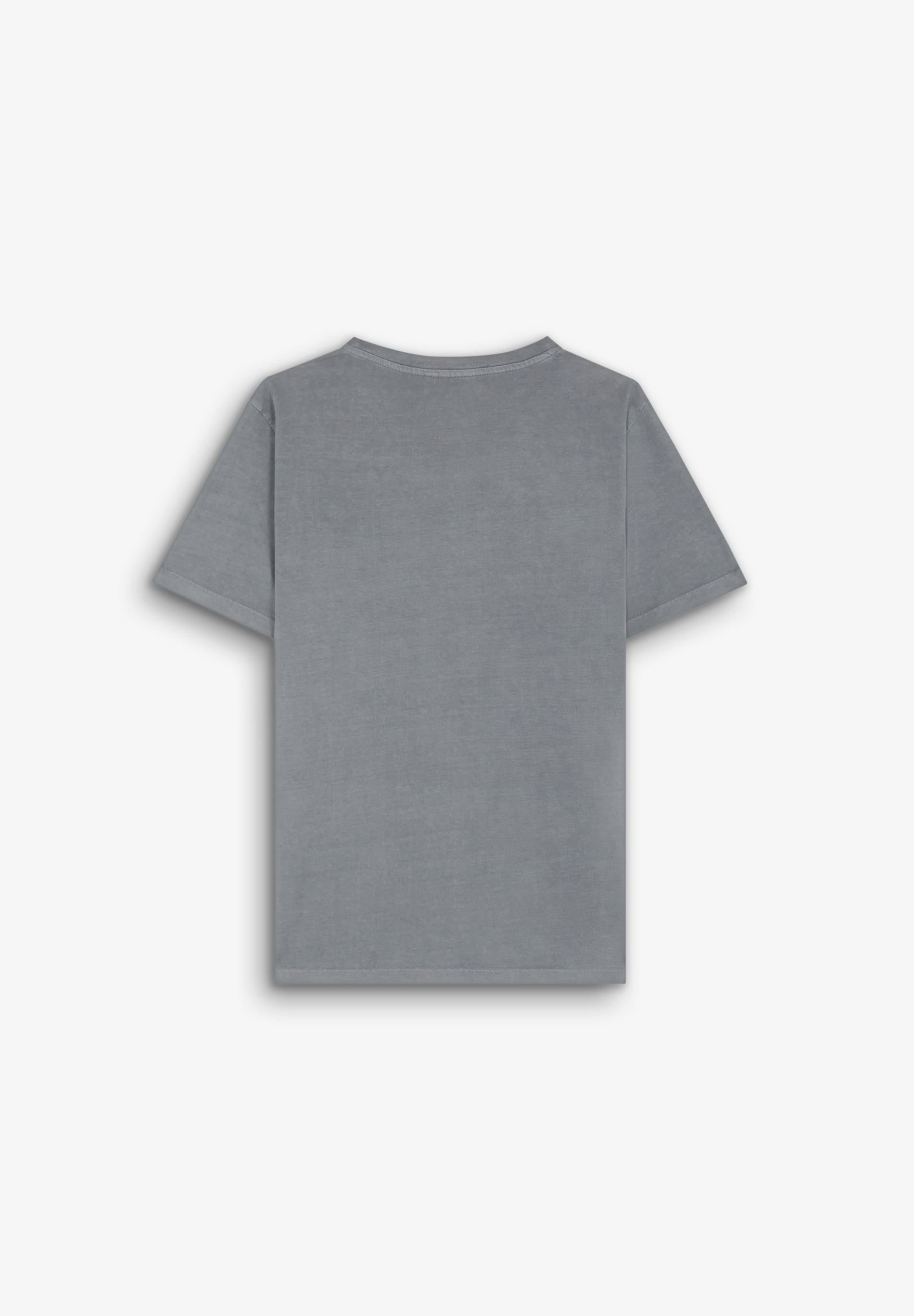 CAMISETA ALGODÓN EFECTO LAVADO - Scalpers