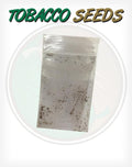 Connecticut Broadleaf Tobacco Seeds - Huge selection! Many different  varieties of tobacco leaf seeds for sale