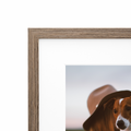 Hazel Frame