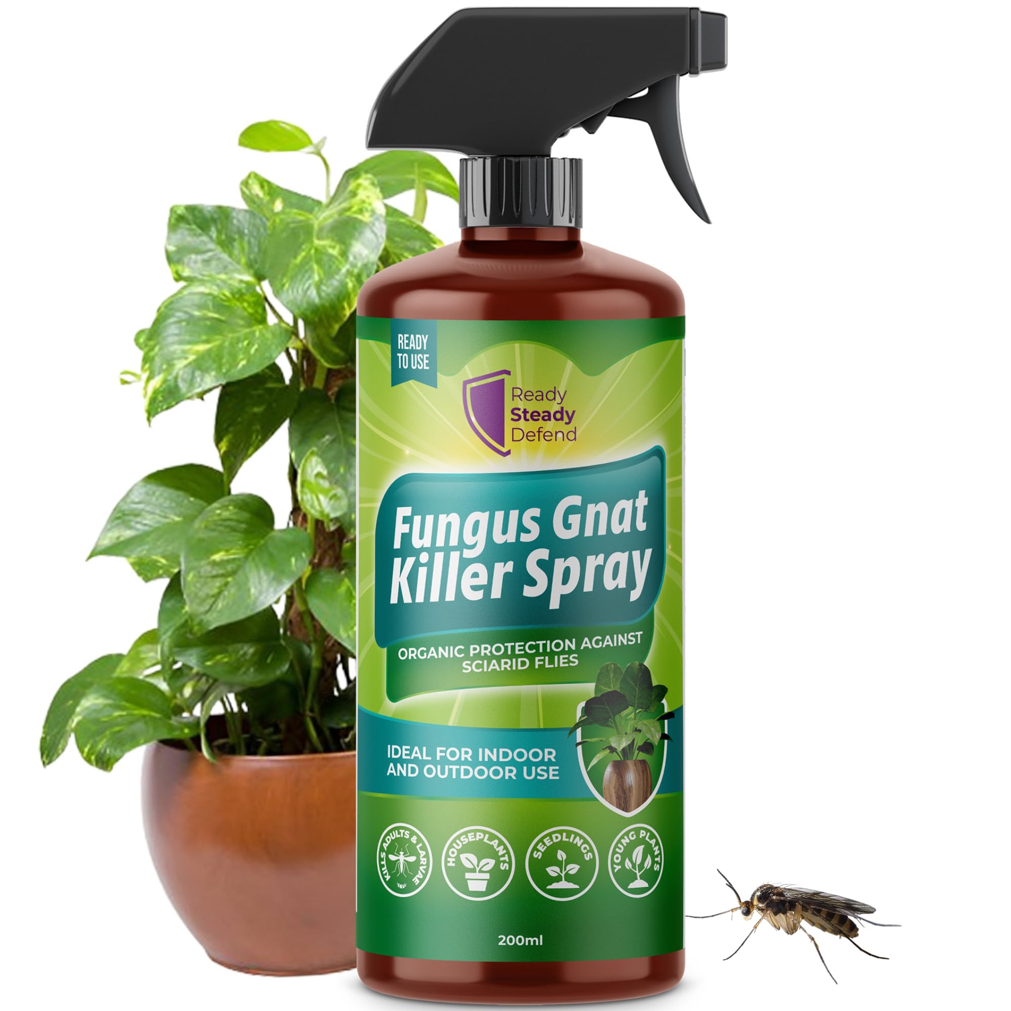 Fungus Gnat Killer Spray - 200ml