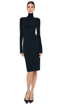 LONG SLEEVE TURTLENECK DRESS TO KNEE