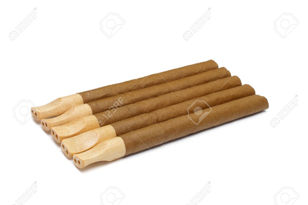 Cigar With A Wooden Mouthpiece It Is Isolated On A White Background Stock  Photo, Picture and Royalty Free Image. Image 8829160