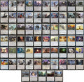 Colorless Eldrazi EDH Deck - Custom Built - Elite - MTG - Commander - 100 Card