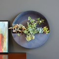 Wall Planters, Iron Indoor/Outdoor Circle & Semi Circle