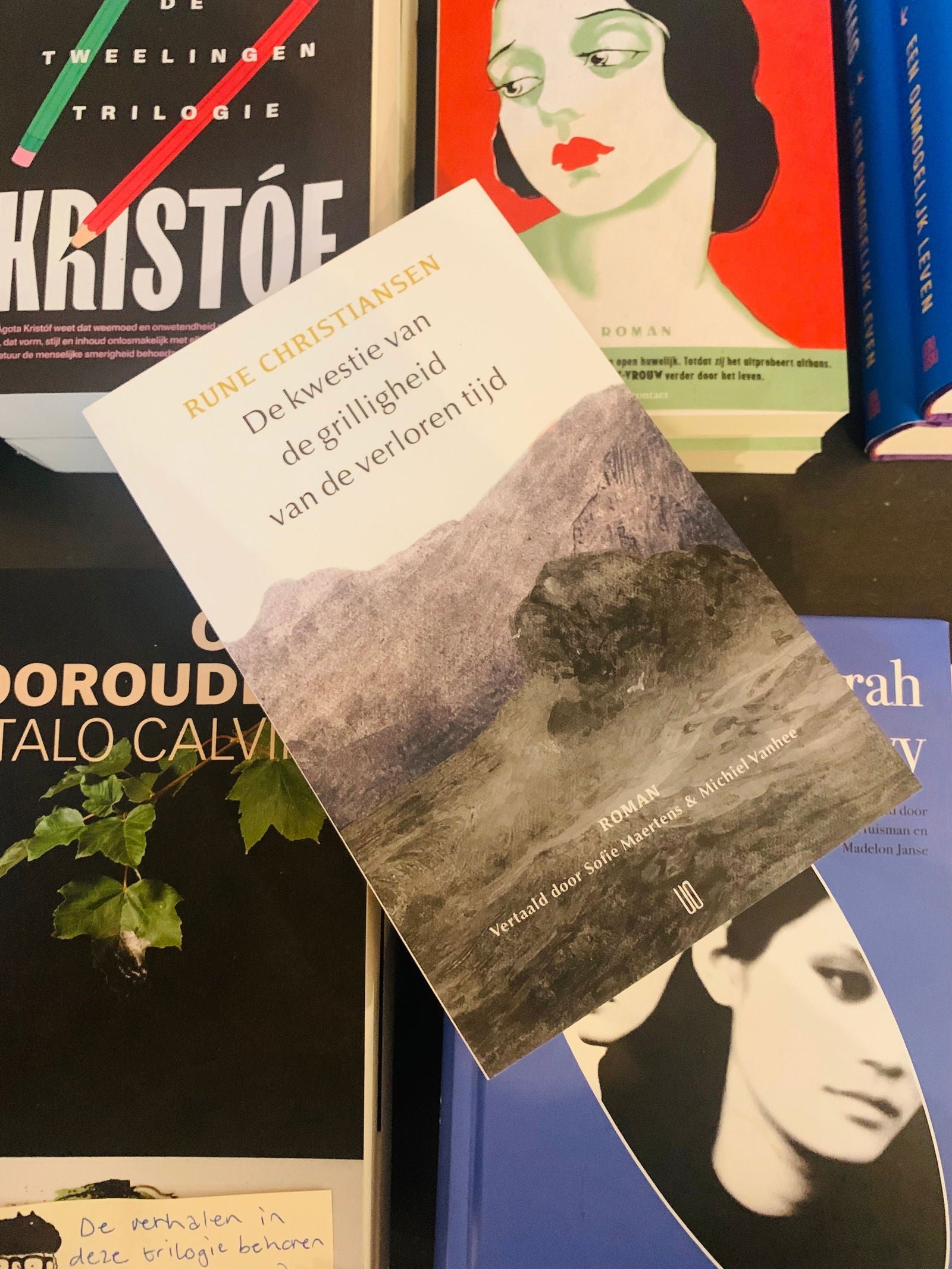 De kwestie van de grilligheid van de verloren tijd - Rune Christiansen / Boekhandel Cosimo