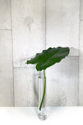 LAYER ELEPHANT EAR, SKINNY VASE 4