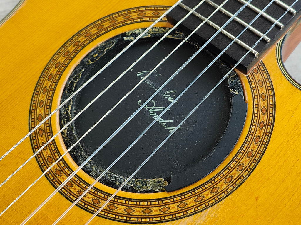 ESP Japan "Aerial-CL Pro" Masahiro Andoh Classical Electric Guitar (Natural)