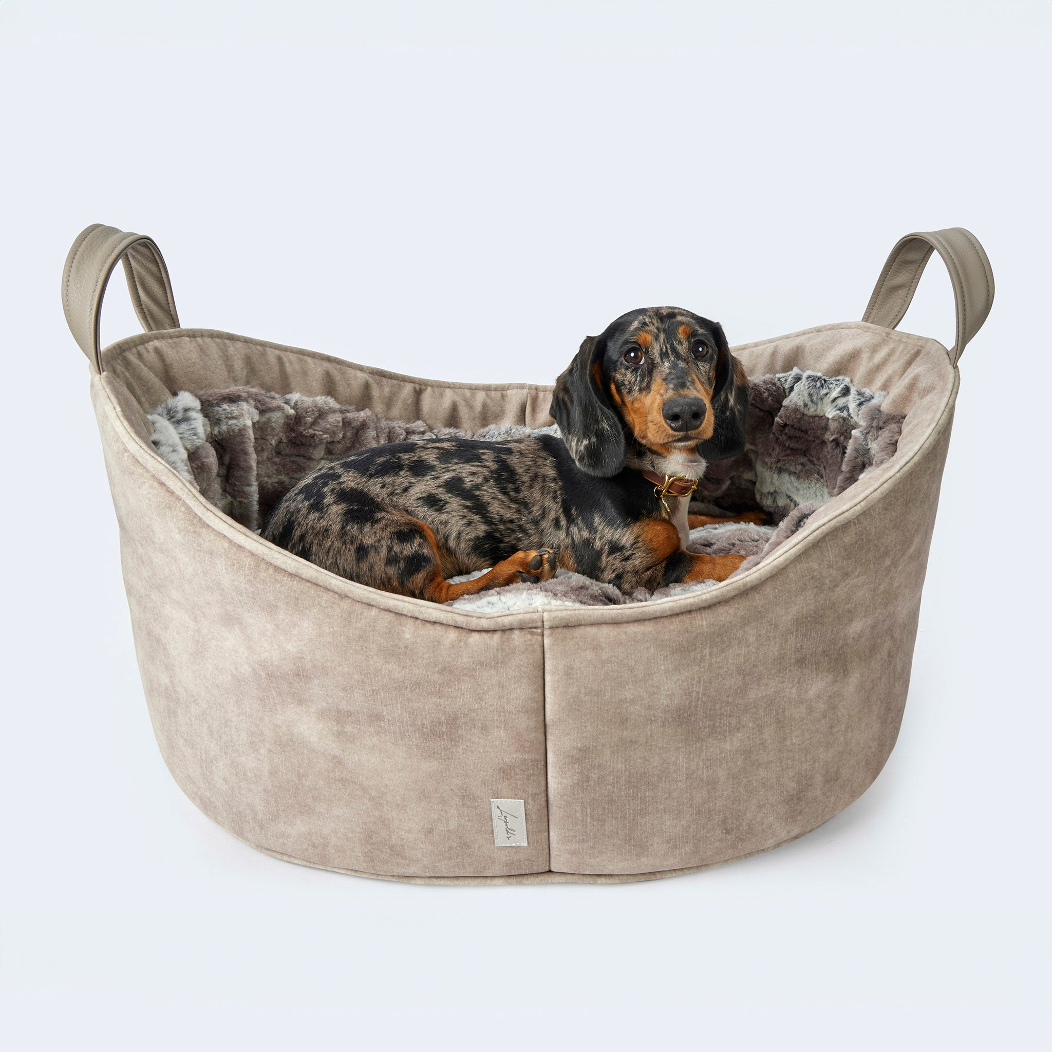 Leopold's Finest | Dackel in Cosy Dog Bed Velvet - ergonomisches Hundebett in Luchs-Optik.