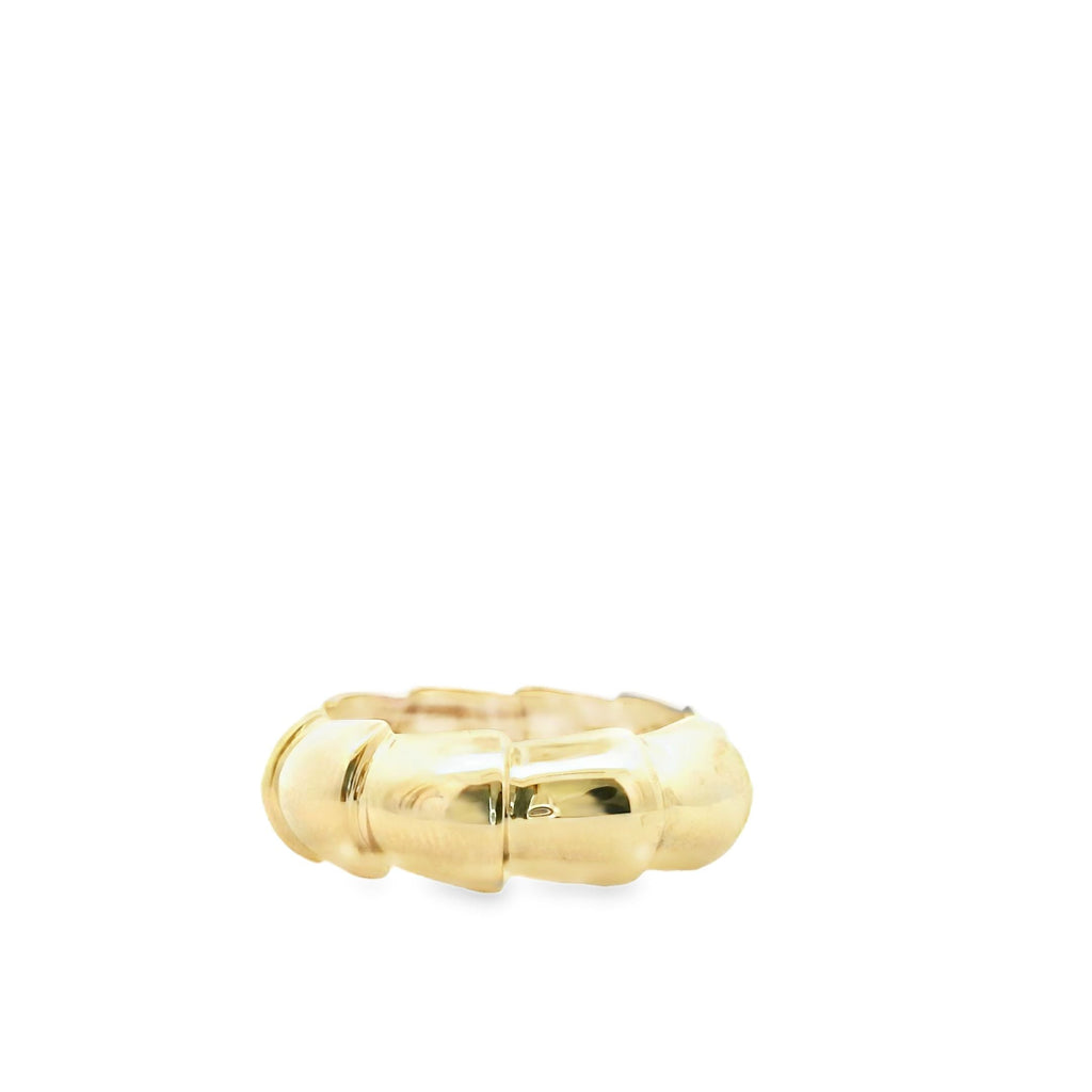 Anillo de Escamas