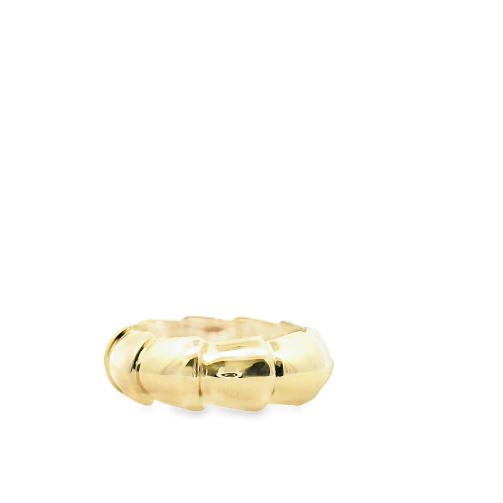 Anillo de Escamas
