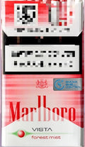Marlboro Vista Forest Mist
