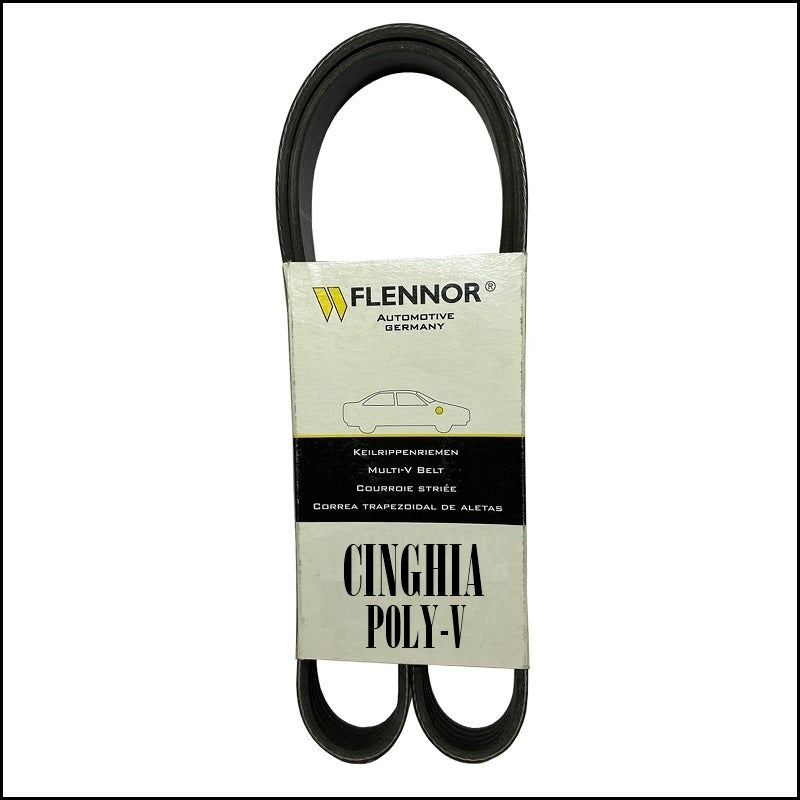6PK1705 Cinghia Servizi Poly-V | Lunghezza 1705 mm BIBA-RICAMBI