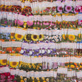 Bulk 500 Piece Eastern Region Flower Seed Packets flower seeds