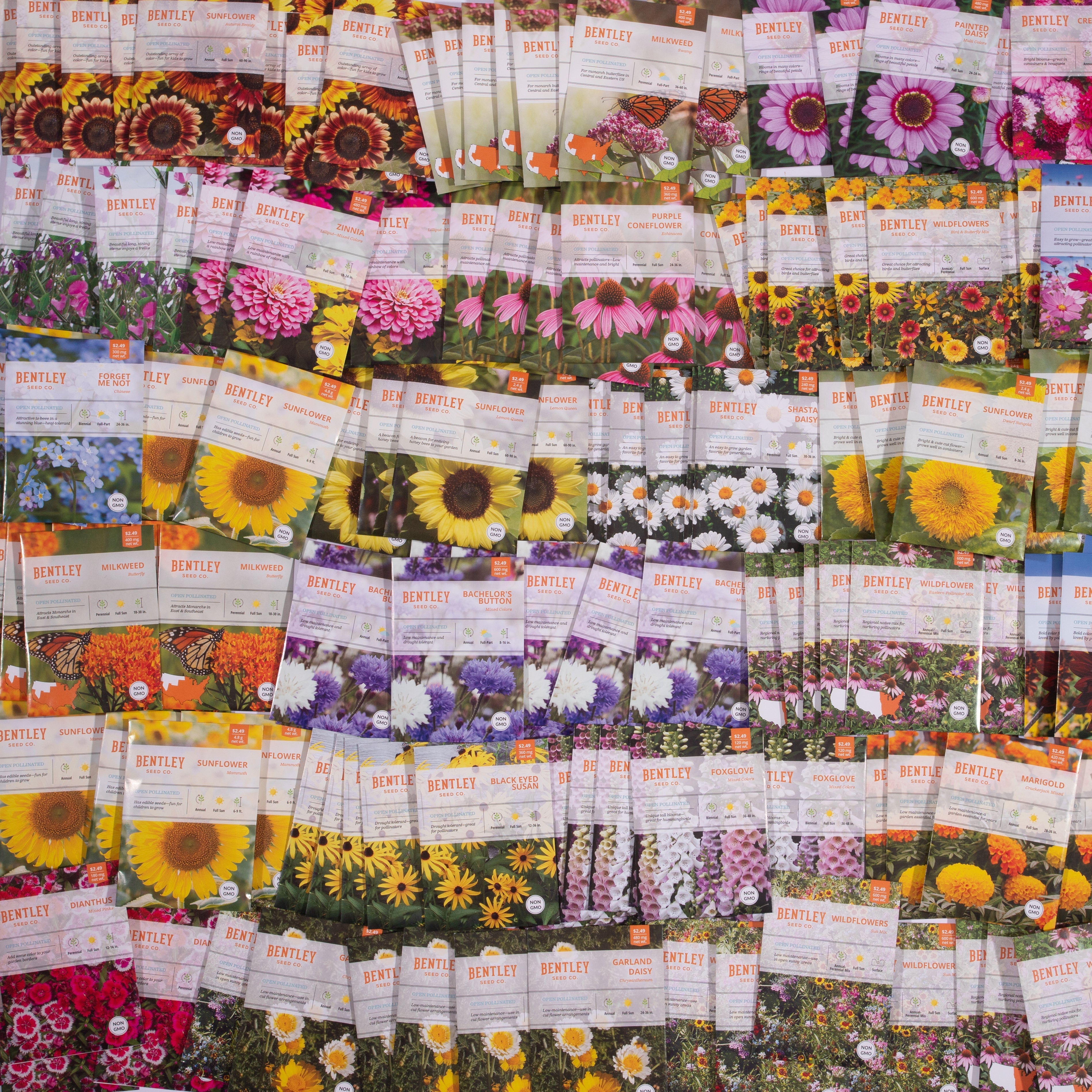 Bulk 500 Piece Eastern Region Flower Seed Packets flower seeds