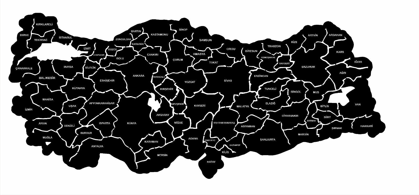 Özel Tasarım Türkiye Haritası Şehir İsimli 120x60cm