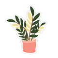 Variegated ZZ Plant Sticker