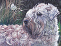 WHEATEN TERRIER dog ART portrait canvas print of LAShepard painting 12x16