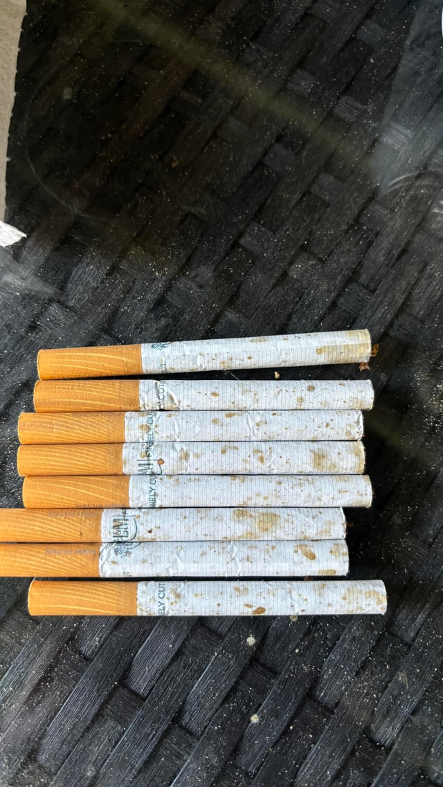 Is it mold in my cigarrates? : r/moldyinteresting