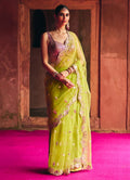 Lime Green Mirrorwork Soft Net Saree With Hot Pink Blouse Angad Singh - Fabilicious Fashion