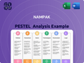 Nampak PESTLE Analysis
