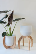 Nested Plant Stand + Pot Duo