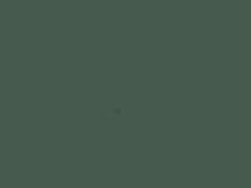Land Rover Keswick Green LRC799 Gloss Aerosol 400ml
