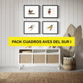 Pack Ilustraciones Aves del Sur I